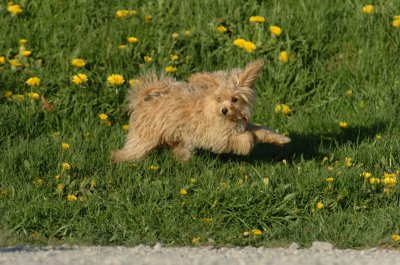 May12_07_1605.JPG