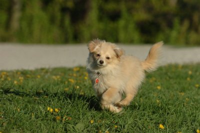 May12_07_1618.JPG
