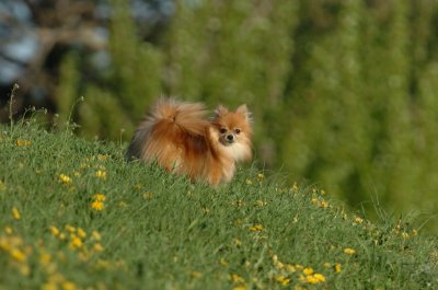 May12_07_1627.JPG
