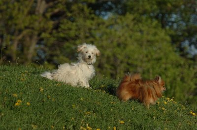 May12_07_1632.JPG