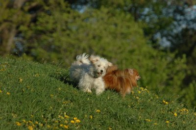 May12_07_1633.JPG