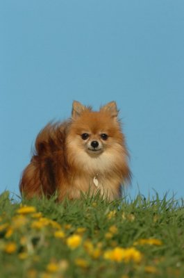 May12_07_1637.JPG