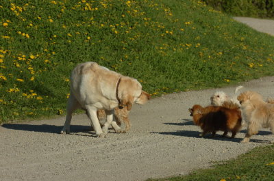 May12_07_1406.JPG