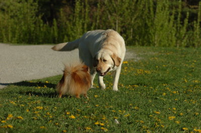 May12_07_1412.JPG