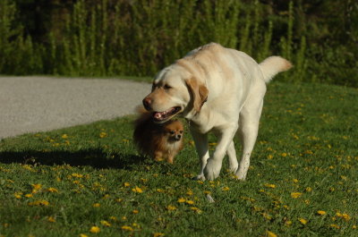May12_07_1413.JPG