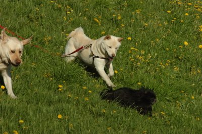 May12_07_1418.JPG