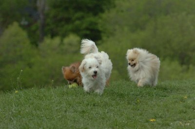 May12_07_844.JPG