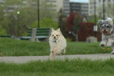 May12_07_848.JPG