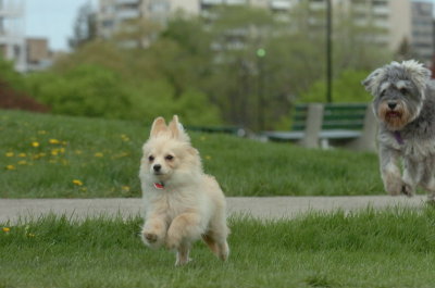 May12_07_852.JPG