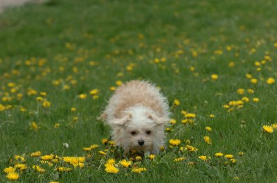 May12_07_864.JPG