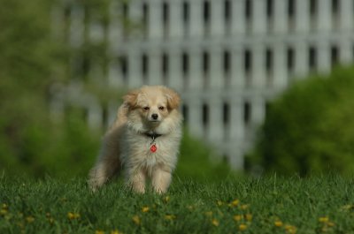 May12_07_700.JPG
