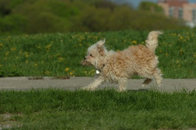 May12_07_706.JPG
