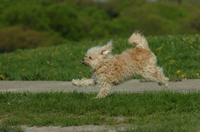 May12_07_708.JPG
