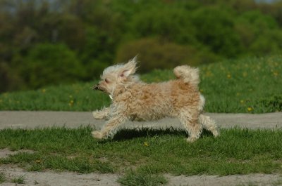 May12_07_709.JPG