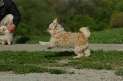 May12_07_710.JPG