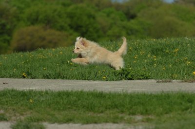 May12_07_711.JPG
