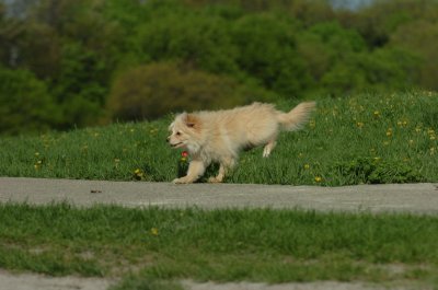 May12_07_712.JPG
