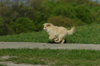 May12_07_713.JPG