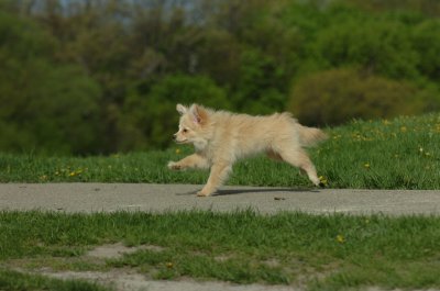 May12_07_714.JPG