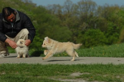 May12_07_715.JPG