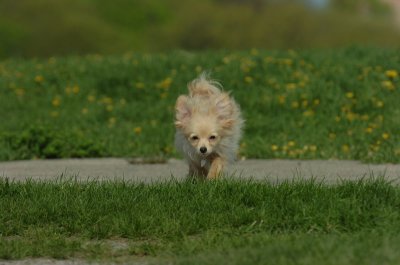 May12_07_718.JPG