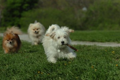 May12_07_720.JPG