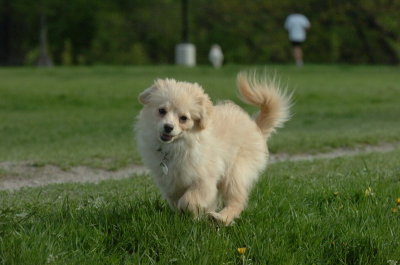May12_07_737.JPG