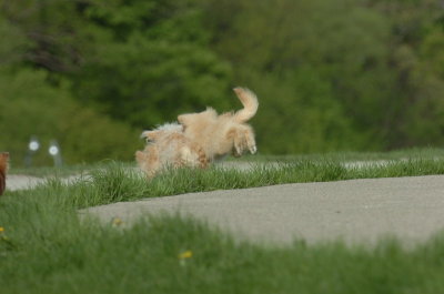 May12_07_739.JPG