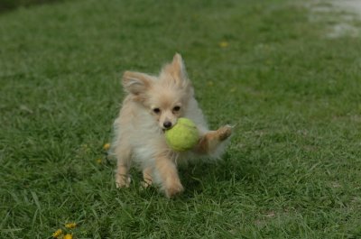 May12_07_742.JPG