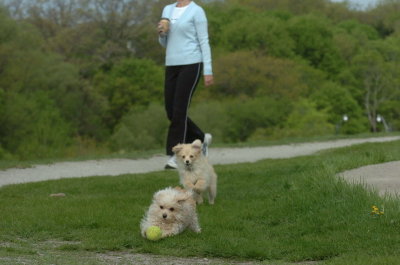 May12_07_760.JPG