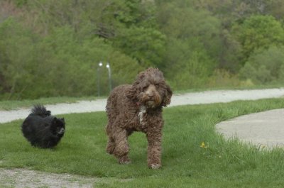May12_07_780.JPG