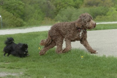 May12_07_781.JPG