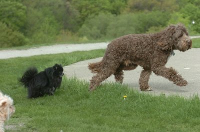 May12_07_782.JPG