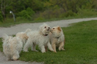 May12_07_788.JPG