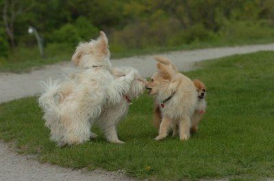 May12_07_789.JPG
