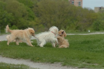 May12_07_797.JPG