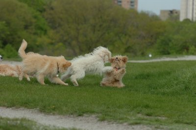 May12_07_798.JPG
