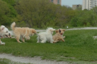 May12_07_799.JPG