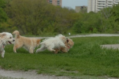 May12_07_800.JPG