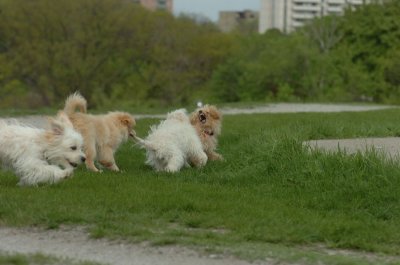 May12_07_801.JPG