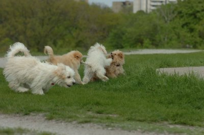 May12_07_802.JPG