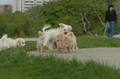 May12_07_804.JPG