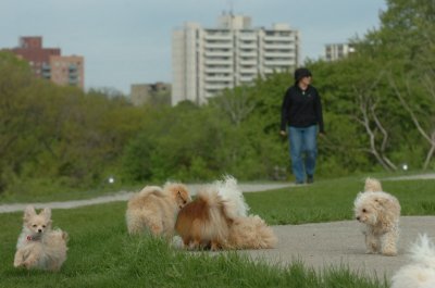 May12_07_807.JPG