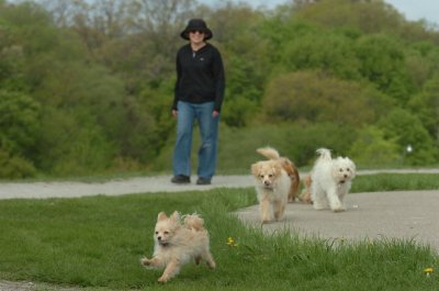 May12_07_810.JPG
