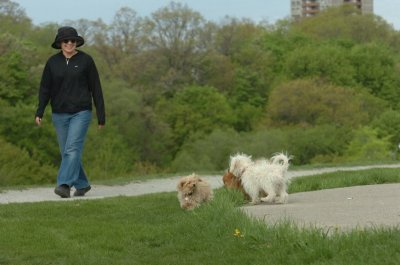 May12_07_817.JPG