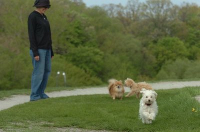 May12_07_823.JPG