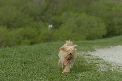 May12_07_825.JPG