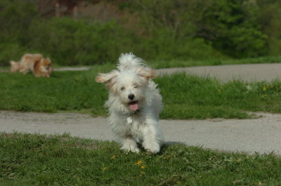 May12_07_594.JPG