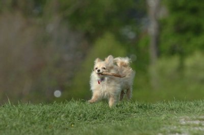 May12_07_599.JPG