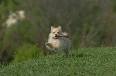 May12_07_604.JPG